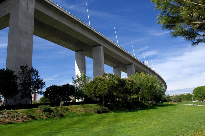 parque tejo passear cães