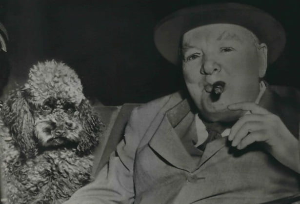 Churchill and Rufus