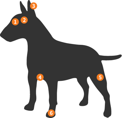Silhueta Bull Terrier