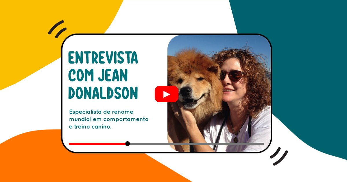 O treino deixa o cão demasiado stressado? Nesta entrevista com Jean Donaldson falamos sobre estímulos positivos e stress negativo.