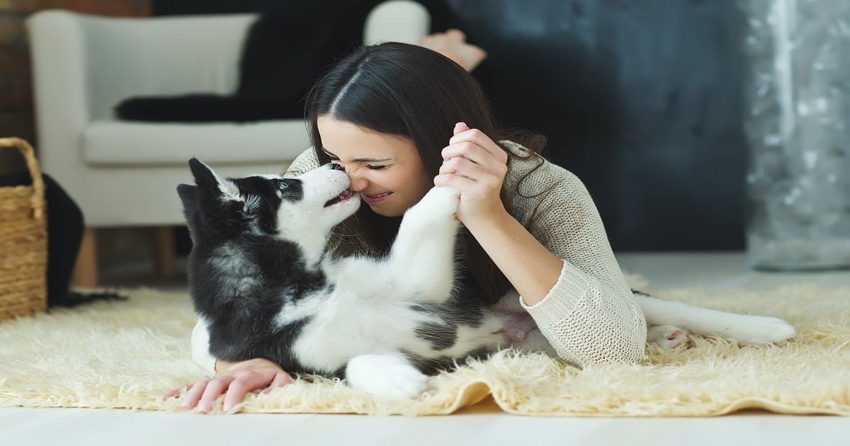 Viver da paixão por cães